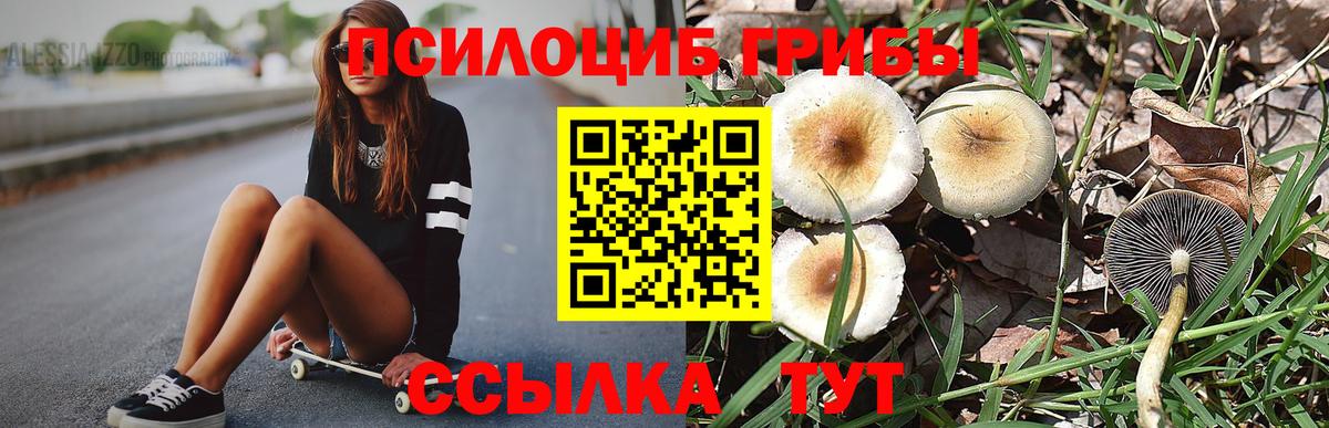 Галлюциногенные грибы мухоморы  Вход с VPN  Ачхой-Мартан 